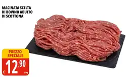 Tigros Macinata scelta di bovino adulto di scottona offerta