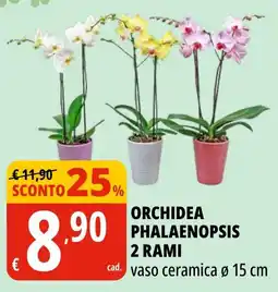 Tigros Orchidea Phalaenopsis offerta