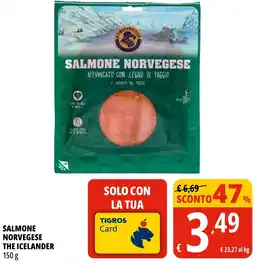 Tigros Salmone norvegese the icelander offerta