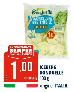 Tigros Iceberg Bonduelle offerta
