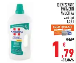 Conad Igienizzante pavimenti Amuchina offerta