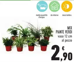 Conad Mix piante verdi offerta