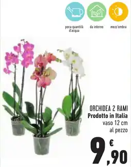 Conad Orchidea 2 rami offerta