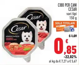 Conad Cibo per cani Cesar offerta