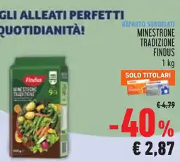 Conad Minestrone tradizione Findus offerta