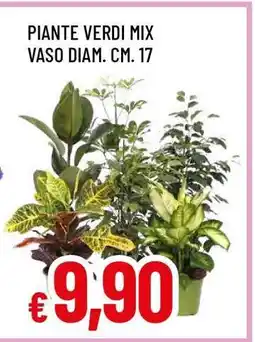 Famila Piante Verdi Mix offerta