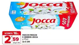 Iperal Fiocchi freschi e cremosi Jocca offerta