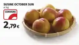 Coop Superstore Susine October Sun offerta