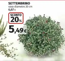 Coop Superstore Settembrino offerta