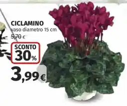 Coop Superstore Ciclamino offerta