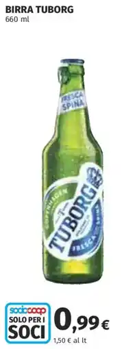 Coop Superstore Birra Tuborg offerta