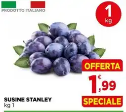 Gran mercato Susine Stanley offerta