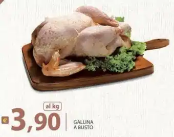 Gallina a busto