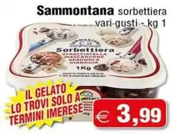 Magazzini Smart Sammontana sorbettiera vari gusti offerta