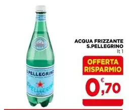 Gran mercato Acqua frizzante S.Pellegrino offerta
