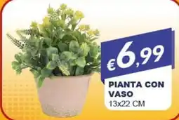 Mister Risparmio Pianta con vaso offerta