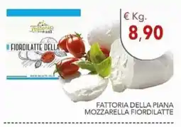 Diper Mozzarella fiordilatte fattoria della piana offerta
