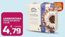 SpesaPiù Supermercati Sammontana torta duchessa offerta