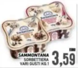 Supermercato Papale Sammontana sorbettiera vari gusti offerta