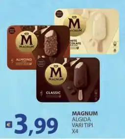 Supermercati Bruscoli Magnum Algida vari tipi offerta