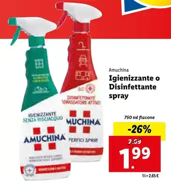 Amuchina Igienizzante o Disinfettante spray 750ml