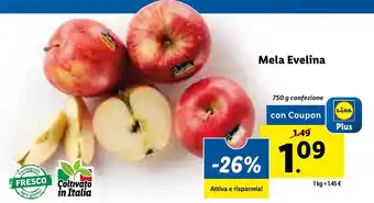 Lidl Mela Evelina 750g offerta