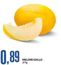 PRO7 Supermercati Melone giallo offerta