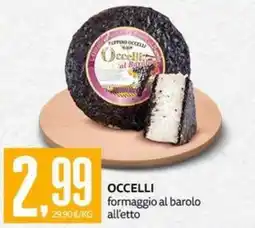 PRO7 Supermercati Occelli formaggio al barolo all'etto offerta
