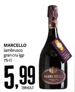 PRO7 Supermercati Marcello lambrusco gran cru igp offerta