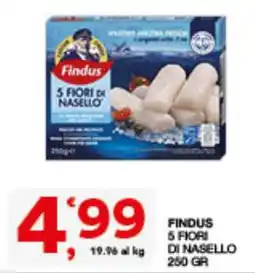 Quick Sisa Findus 5 Fiori di Nasello offerta