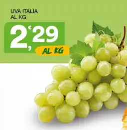 Quick Sisa Uva Italia offerta