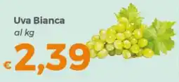 Tocal Uva Bianca offerta