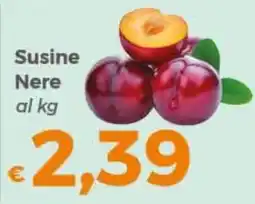 Tocal Susine Nere offerta