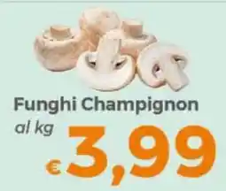 Tocal Funghi Champignon offerta