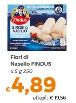 Tocal Fiori di Nasello FINDUS offerta