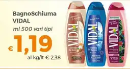 Tocal BagnoSchiuma Vidal offerta
