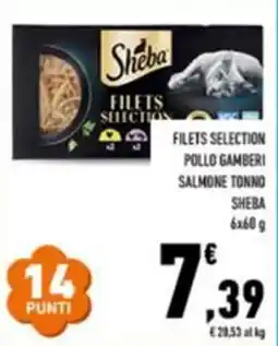 Conad City Filets Selection Sheba offerta