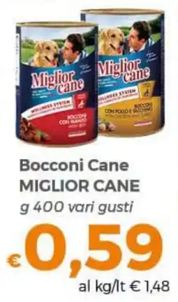 Tocal Bocconi Cane Miglior Cane offerta