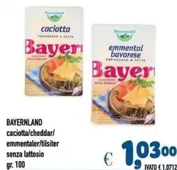 Del Prete Distribuzioni Bayerland caciotta/emmental offerta