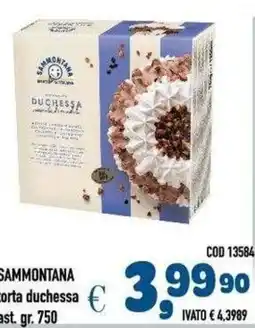 Del Prete Distribuzioni Sammontana torta duchessa offerta