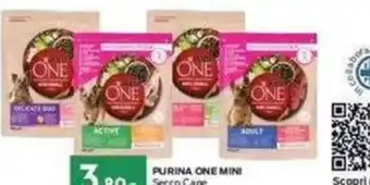 Purina One Mini Secco Cane