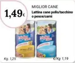 Re Mercato Lucrezia Miglior cane Lattina cane pollo/tacchino o pesce/carni offerta