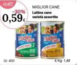 Re Mercato Lucrezia Miglior cane offerta