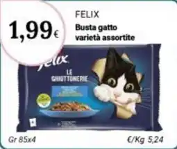 Re Mercato Lucrezia Felix Busta gatto varietà assortite offerta