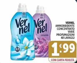Deco Market Vernel ammorbidente concentrato offerta