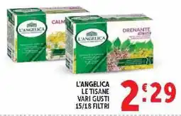 Deco Market L'Angelica le tisane vari gusti offerta