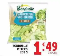Deco Market Bonduelle Iceberg offerta