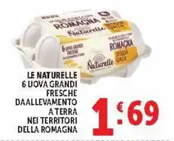Deco Market Uova grandi fresche Le Naturelle offerta