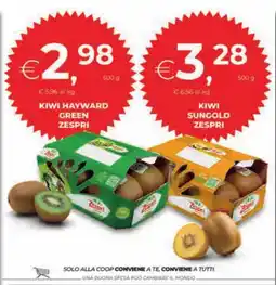 Unicoop Etruria Kiwi Hayward Green Zespri offerta