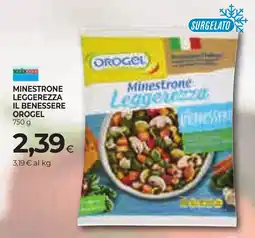Unicoop Etruria Minestrone Leggerezza Il Benessere OroGel offerta